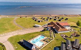 Oyster Etchingham Seaview